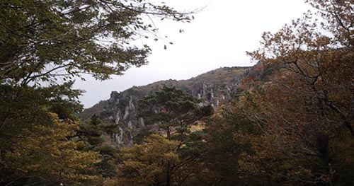 단풍숲과 기암괴석 